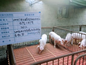 扛稳责任 筑牢民生保障底线